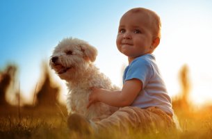Bebé con perro para representar el vínculo entre animales y bebés