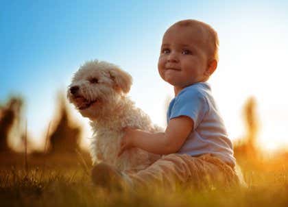 Animales y bebés: las ventajas de crecer juntos
