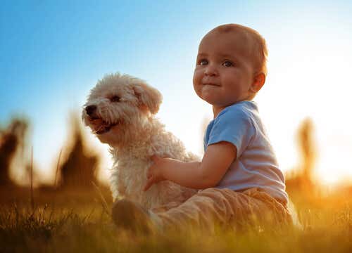 Bebé con perro para representar que el mundo necesita más compasión