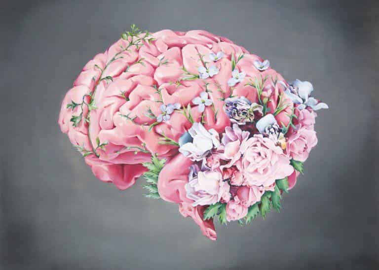Cerebro rosa con flores representando las frases de Antonio Damasio