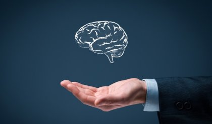 La 6 reglas de la simplicidad inteligente