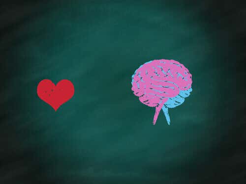 Corazón rojo y cerebro dibujados en una pizarra