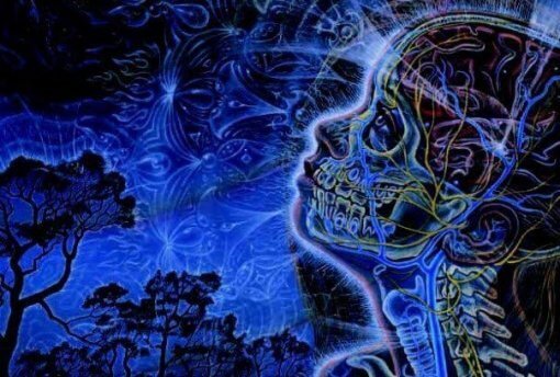 Pineal gland illustration