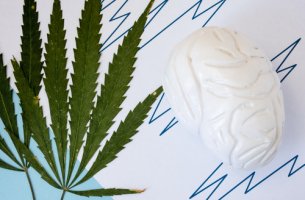Hoja de marihuana con cerebro para representar el consumo de marihuana
