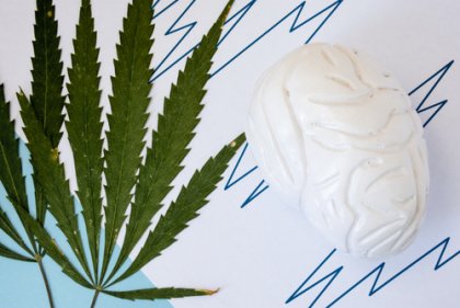 Mitos y verdades del consumo de marihuana