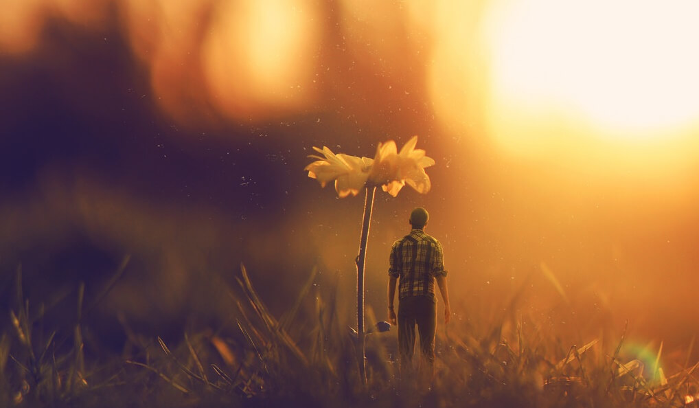 hombre con flor simbolizando las frases para recordar que la vida es bella