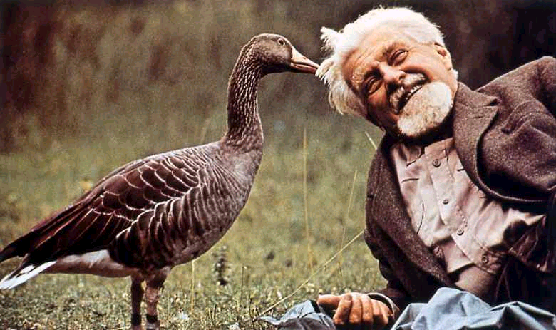 Konrad Lorenz, un legado para despertar a la vida