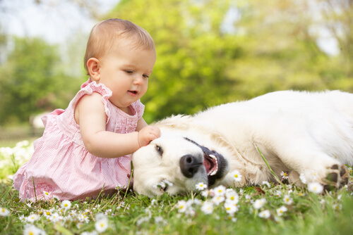 Niña con perro en el campo