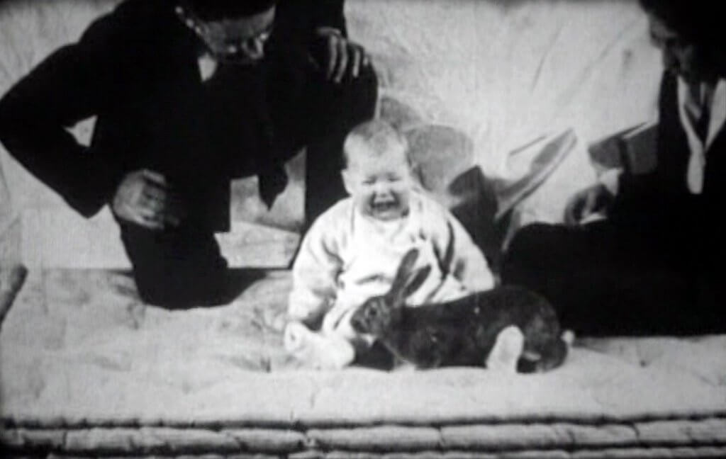 Pequeño Albert