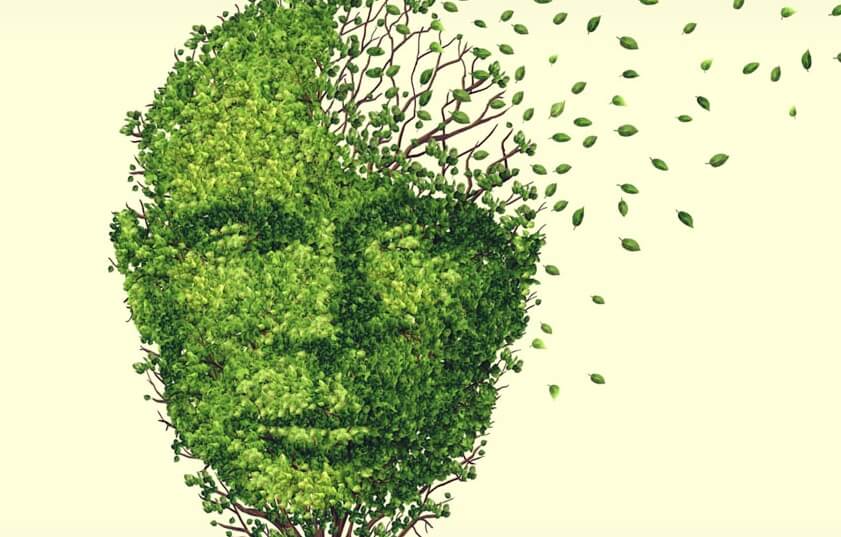 Figura hecha de hojas representando la pérdida de memoria debido al estrés