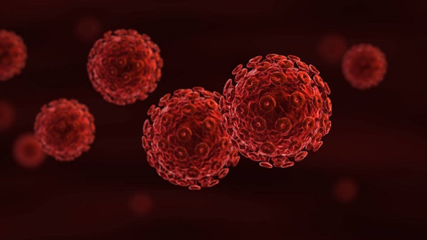 células infecciosas representando las enfermedades de transmisión sexual (ETS)