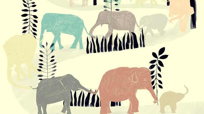manada de elefantes simbolizando una historia para pensar