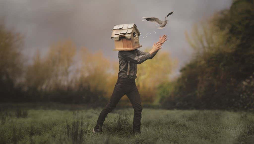 chico con caja de pájaros en la cabeza simbolizando el peso de los errores emocionales 