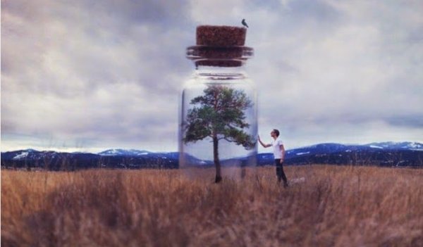 Hombre tocando un frasco al aire libre
