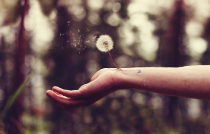 Sanar la herida de una traición