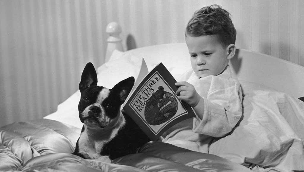niño con su perro que disfruta de leer antes de dormir