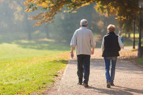 Pareja de personas mayores hablando de los beneficios de pasear mientras caminan