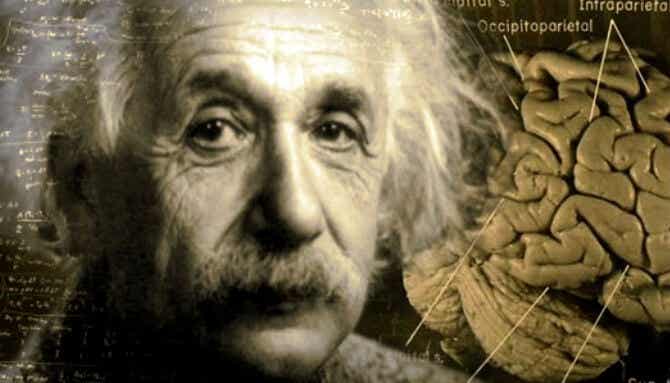Imagen mostrando el cerebro de Albert Einstein representando si es posible mejorar nuestra inteligencia