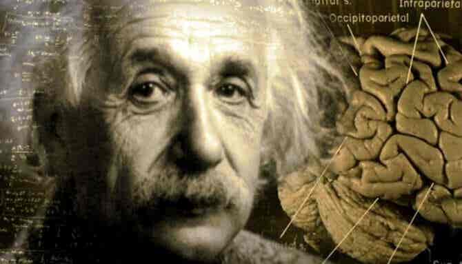 La increíble historia del cerebro de Albert Einstein