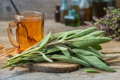 Beneficios de la salvia, la planta de la mujer