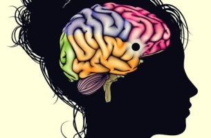 cabeza femenina con núcleo accumbens