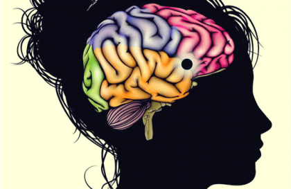 Núcleo accumbens, un centro de aprendizaje, motivación y placer