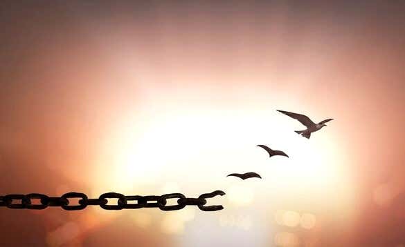 7 Zitate von Spinoza, die zum Nachdenken anregen: Vögel, die Freiheit symbolisieren
