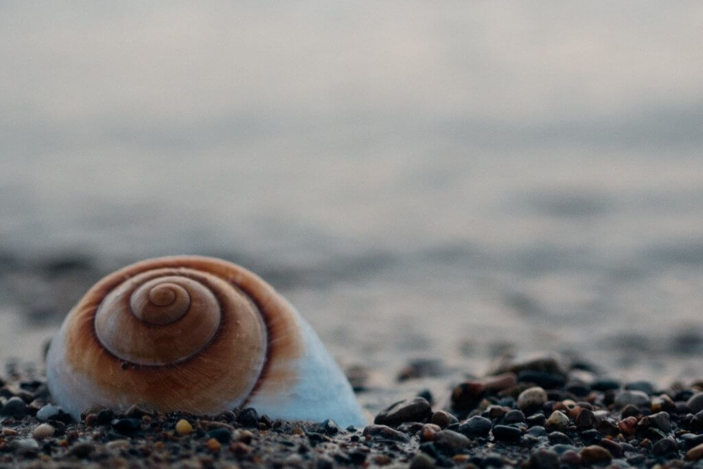 Caracol