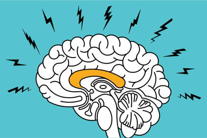 imagen representando el impacto de la ansiedad en el cerebro