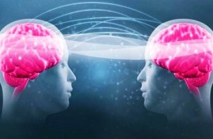 dos cabezas con cerebros rosados representando el impacto del triptófano y la serotonina