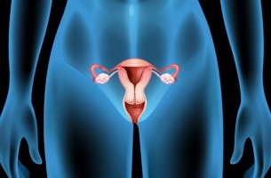 figura femenina evidenciando quistes ováricos