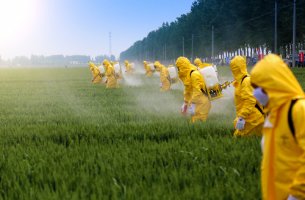 Grupo de hombres con pesticidas en el campo
