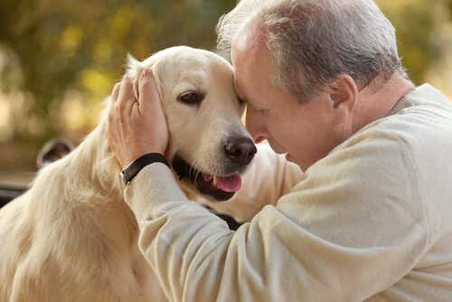 Terapia asistida con animales en personas con Alzheimer