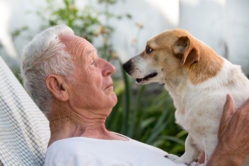 Hombre mayor con un perro
