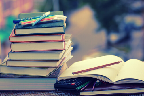 Libros y apuntes de un opositor