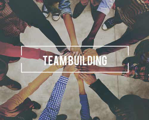 Team building: características y beneficios