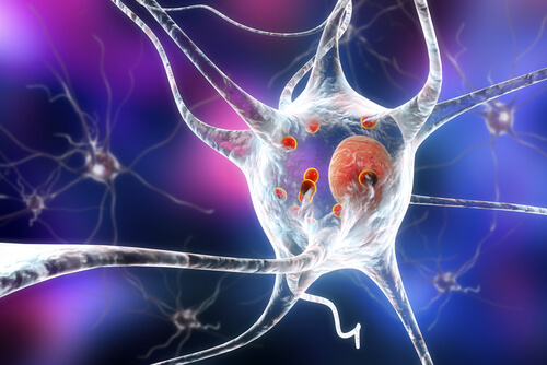 Parkinson a nivel cerebral