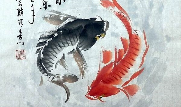 Peces de color negro y rojo simbolizando la teoría del Yin y el Yang
