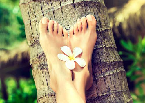 A woman's feet crossed and leaning against a tree with a flower between them.