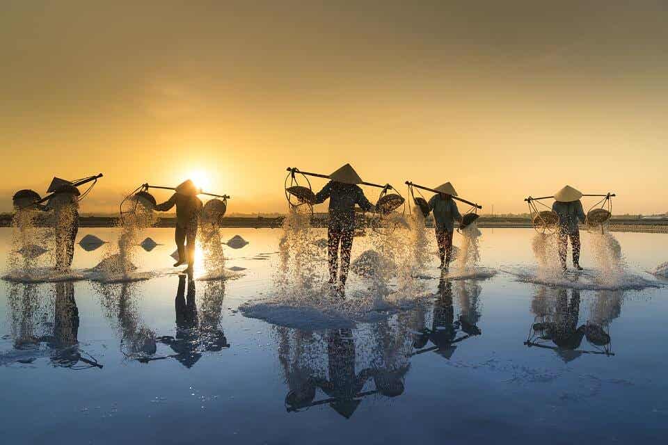 Recogiendo sal en Vietnam