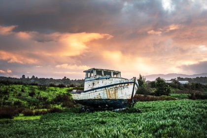 La identidad y el barco de Teseo