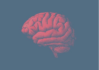¿Por qué el cerebro envejece? La respuesta está en los genes