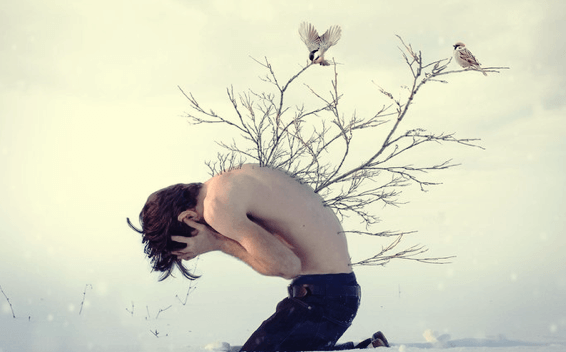 Chico con ramas en la espalda