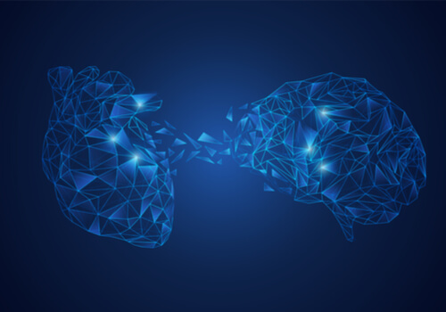 Corazón y cerebro