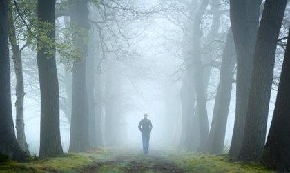 El test del bosque, una prueba del psicoanálisis relacional