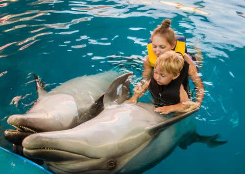 Niño haciendo delfinoterapia