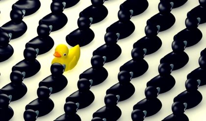 El efecto Bandwagon o cuando hacemos lo mismo que los demás