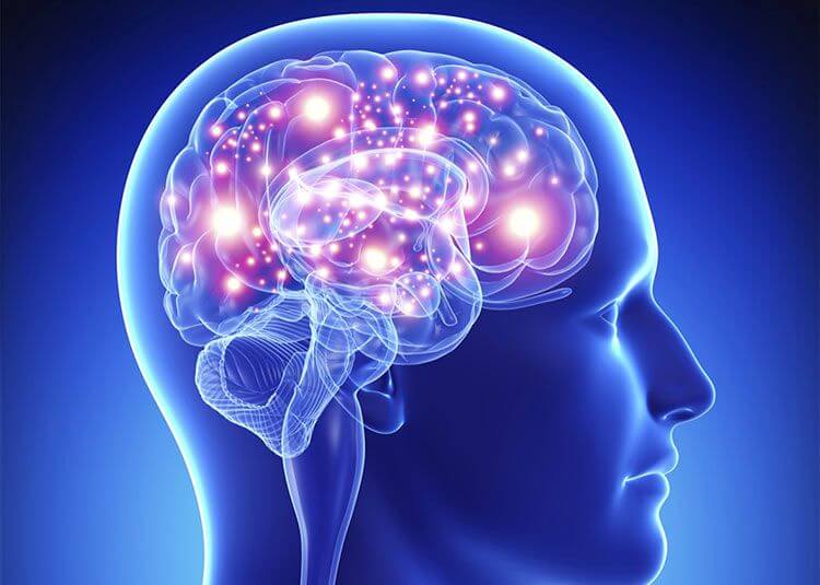 Neurotransmires producidos por la microbiota intestinal