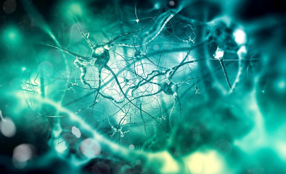 principales neurotransmisores y Nociceptores