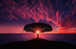 Árbol iluminado para representar el potencial del ahimsa